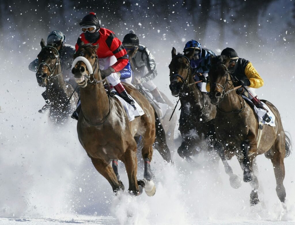 Horse racers